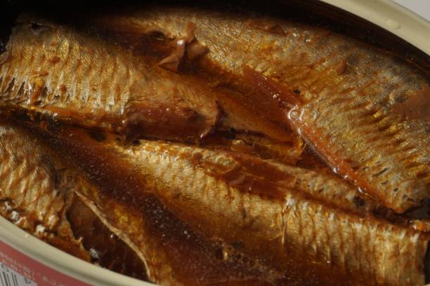 istock Macro shot of Sardine can 1464394780