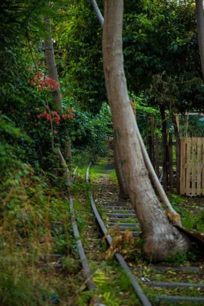 istock Vertical shot of train tracks through a lush green park 1464396698