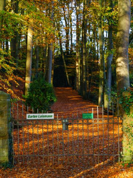 closed gate to the loismann botanical garden in ibbenburen, germany - ibbenbüren imagens e fotografias de stock