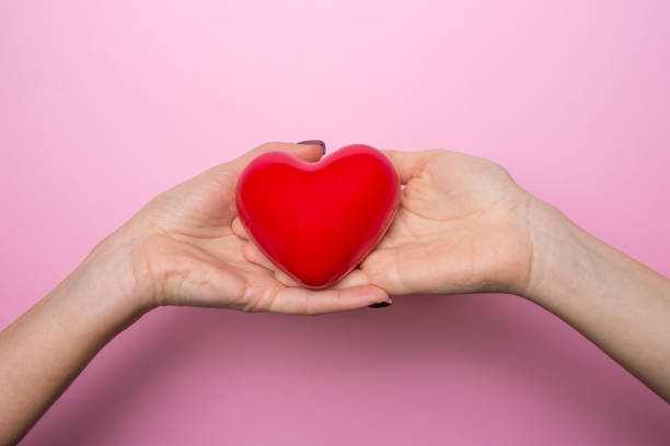 istock Hands holding a red heart on a pink background with free space for text 1464397533