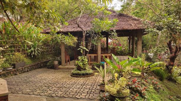 istock Tempting park with different plants and a a gazebo 1464399026