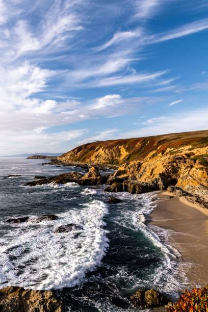 вертикальный снимок побережья сонома с головы бодега - sonoma county california coastline northern california стоковые фото и изображения