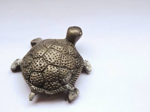 It is believed that adding replica of tortoise in interior decoration brings luck, longevity, serenity and career success as per Feng shui.