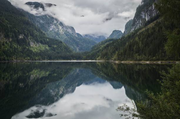 istock Aerial view of lake surrounded by dense trees 1464403998