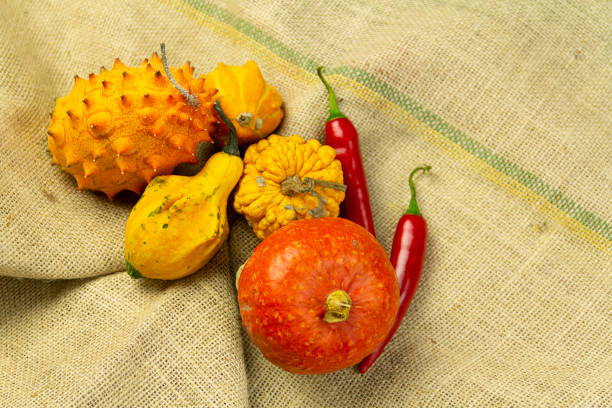 The ornamental pumpkins with kiwano and chilli peppers on a bag