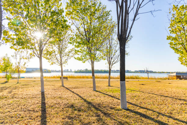 Autumn Park landscape