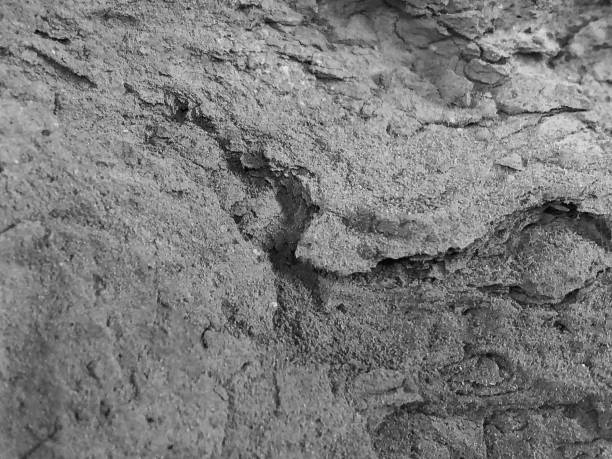 istock Closeup shot of a gray wall texture 1464407041