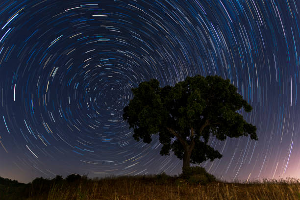 istock Tree in a field under a starry sky with long exposure at night - perfect for aesthetic wallpaper 1464407253