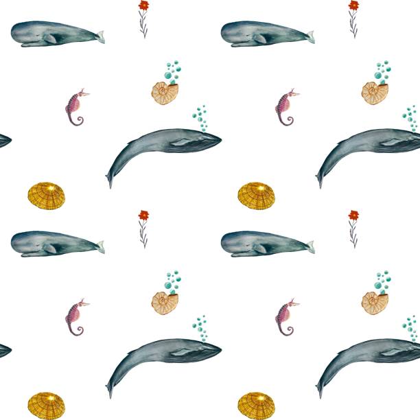 ilustrações, clipart, desenhos animados e ícones de padrão de aquarela sem costura do cavalo-marinho da concha da baleia - label travel san diego california california