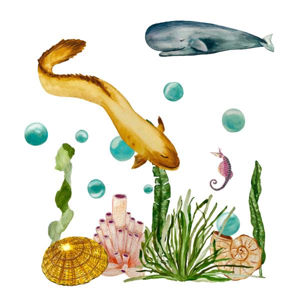istock Seaweed coral seahorse bubble eel whale watercolor 1464411406