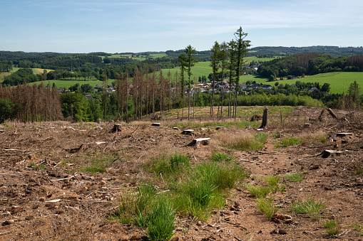 The sunny German countryside in Bergisches Land