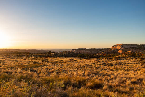 istock Dry arid deserted area under the blue clear sky at sunset 1464412763