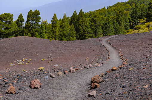 La Palma, hiking in the fantastic world of volcanoes. Hiking on the edge of the volcano overlooking the lava fields. Beautiful island of La Palma, on the route GR131 also called Ruta de Los Volcanes, Canary Islands, Spain