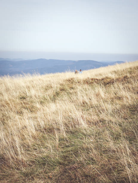 istock Vertical shot of a dry field on mountains background 1464413812