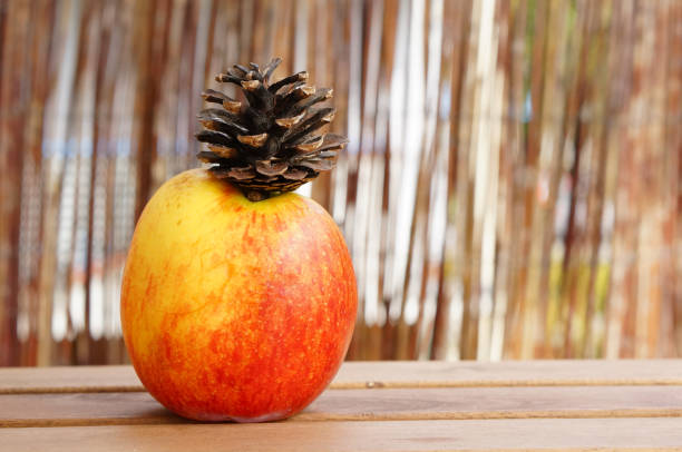A pinecone of a yellowish apple on a wooden table