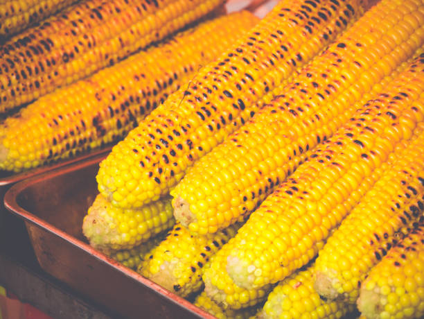istock Closeup shot of grilled corncobs on a tray 1464415121