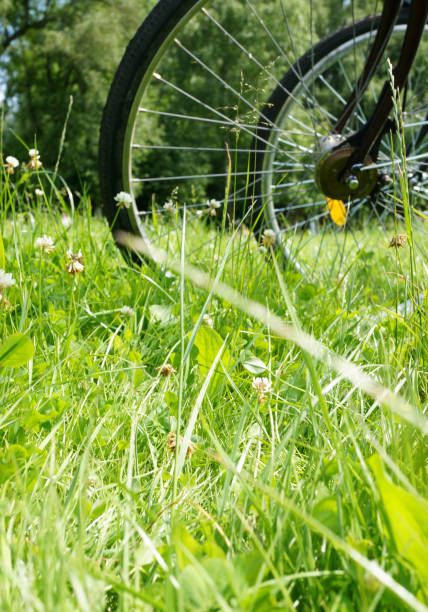istock Selective of white clover (Trifolium repens) field and bicycle wheels on the background 1464415663