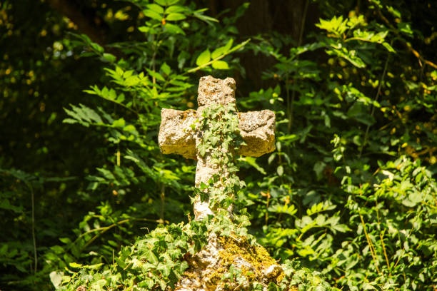 istock Stone cross in the forest 1464416013