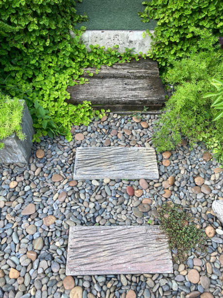 istock Paved garden road, Chiang Mai 1464416608