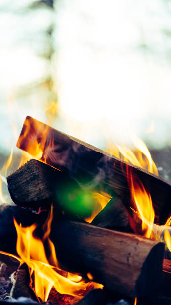 istock Closeup of burning firewood with a big flame 1464417614