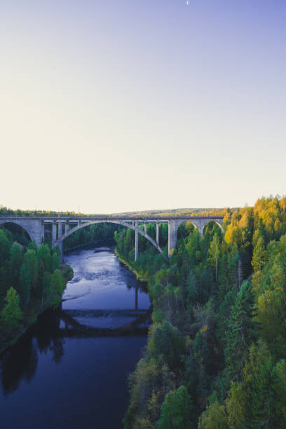 istock Vertical shot of a bridge reflecting on a lake in a forest 1464417626