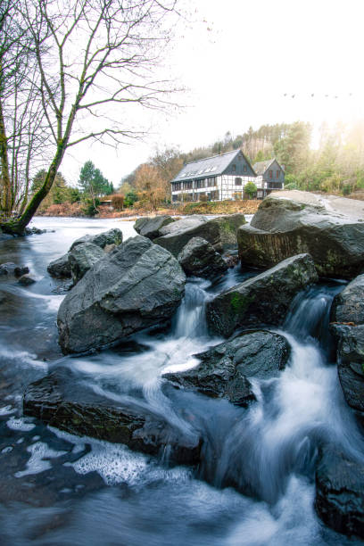 istock Vertical shot of a river flowing through rocks in a forest 1464417751