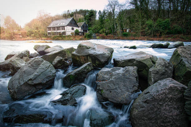 istock Scenic view of a river flowing through rocks in a forest 1464417768