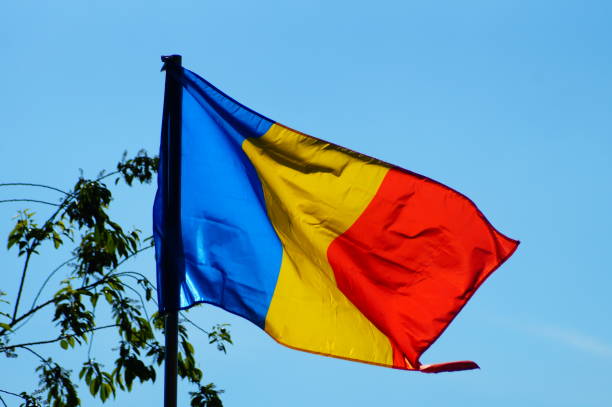 istock A Romanian flag in an allotment garden. 1464418447