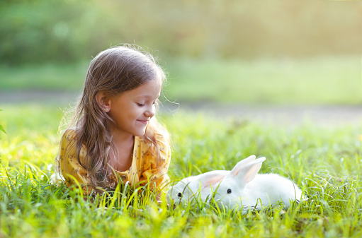 a girl on a sunny lawn with white rabbits