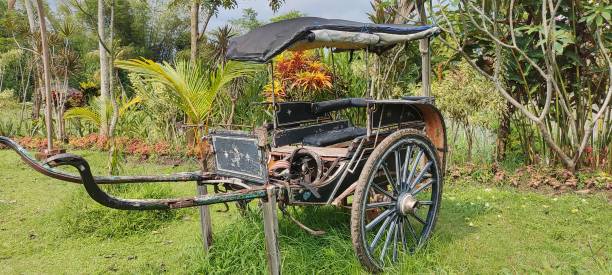 istock An old horse-drawn carriage 1464421753