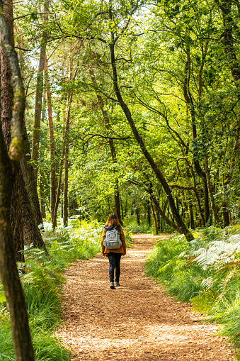 A young female hiker trekking on Lake Paimpont in the Broceliande forest near Rennes. France