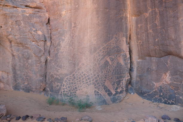 istock Rock engravings Tassili Djanet Algeria 1464433353