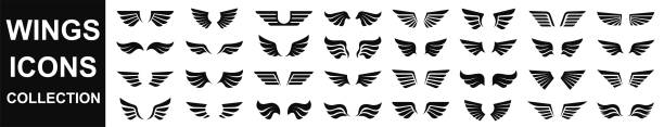 날개 아이콘을 설정합니다. 검은 날개 아이콘의 집합입니다. 날개 배지. 날개 아이콘의 집합입니다. 날개 벡터 아이콘의 간단한 집합입니다. 벡터 그림 - animal limb stock illustrations