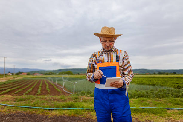 istock Agronomist controlling quality of vegetables 1464440715