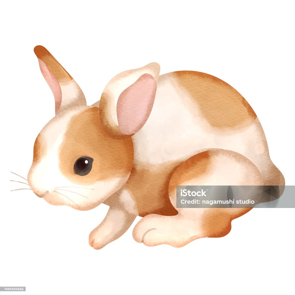 Splooted Rabbit Graphics Spotted Rabbit Stock Illustration - Download Image Now - Animal, Baby ...