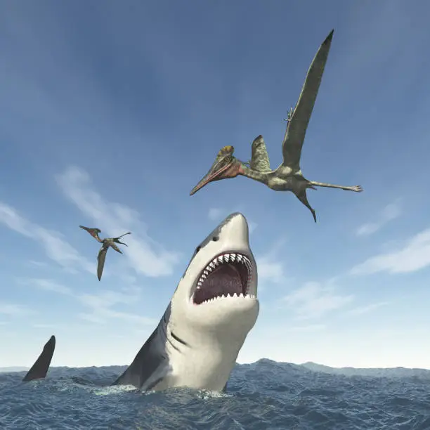 Computer generated 3D illustration with a great white shark attacking the pterosaur Pterodactylus