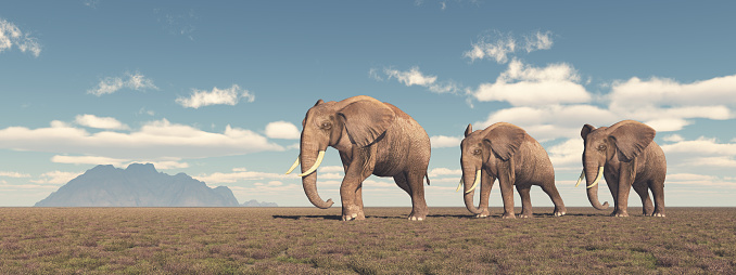 Computer generated 3D illustration with a herd of elephants roaming the savannah