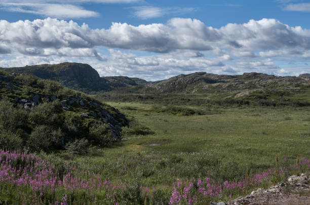 istock Summer mountain landscape under daytime cloudy sky 1464456489