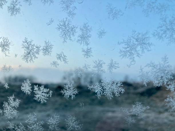 Snowflakes , nature and cold