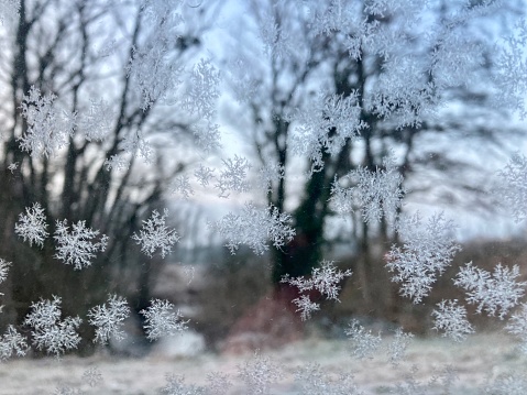 Snowflakes , nature and cold
