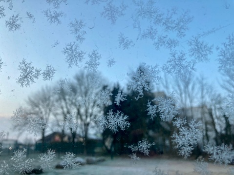 Winter background, patterns made by the frost on the window