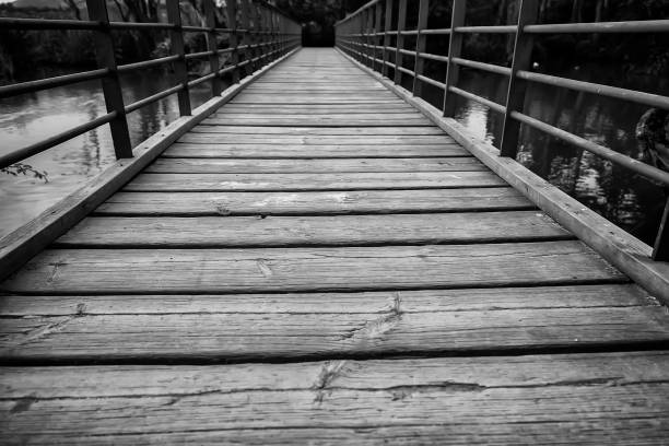 istock Wooden bridge in a pond 1464457179