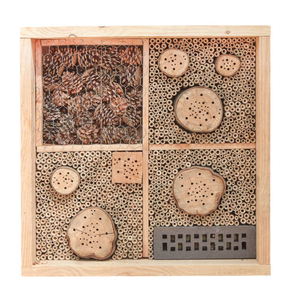 istock Insect hotel isolated on a white background 1464459836