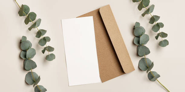 istock Banner, Blank paper card mock up and craft envelope with branches eucalyptus leaves, beige background. White empty invitation. Minimal modern lifestyle photo. Flat lay, top view, copy space. 1464462591