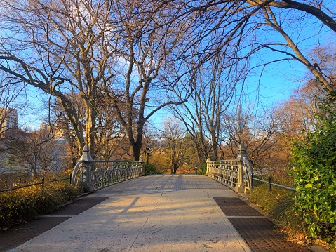 The Bow Bridge in Autumn