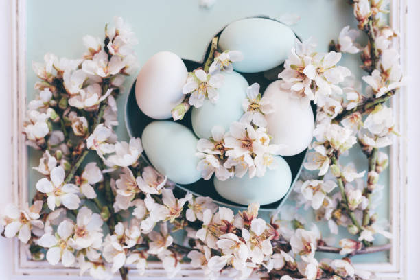 istock Delicate soft pastel mint green colored flat lay of Easter eggs in heart shape box with almond blossom branches 1464472952