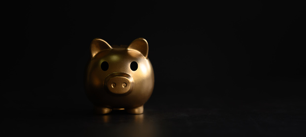 Luxury golden pig money box on black background. concept of big savings finance.