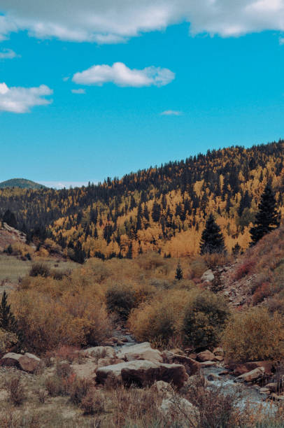 istock Colorado Rocky Mountains 1464478784