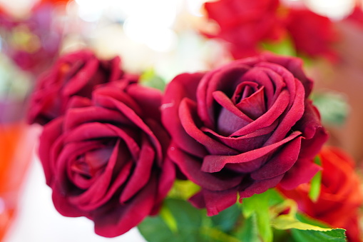 love, romance, valentines day and holidays concept - close up of red rose petals with copyspace
