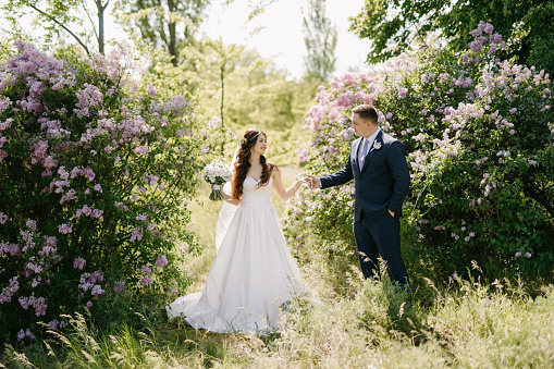 Defocussed bride and groom. walking hand in hand through a grass wheat field meadow on rolling landscape with focus on green wheat in foreground South Africa